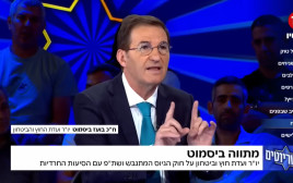 בועז ביסמוט בתוכנית "הפטריוטים" בערוץ 14 (צילום: צילום מסך ערוץ 14)