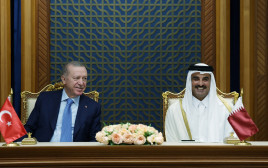 ארדואן ואמיר קטאר אל תאני, ביקור ארדואן בקטאר (צילום: Murat Kula/Turkish Presidential Press Office/Handout via REUTERS)