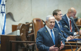 בנימין נתניהו (צילום: חיים גולדברג פלאש 90)