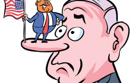 מדינת חסות (צילום: איור איציק סמוכה)