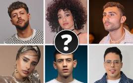 סקר זמרים (צילום: רפי דלויה,דניאל קמינסקי,אור דנון,תום עמוס)