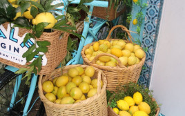 פופ-אפ איטלקי עם מותג הג'ין MALFY במסעדת נואמה (צילום: גולדן הפקות)