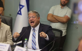 איתמר בן גביר בדיון בוועדה לביטחון לאומי של הכנסת (צילום: מרק ישראל סלם)