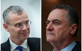 ישראל כ"ץ, יריב לוין (צילום: פלאש 90,רויטרס)