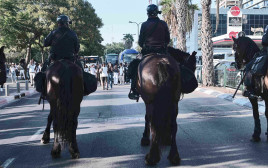 פרש משטרה על סוס (צילום: אבשלום ששוני)
