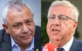 יעקב ברדוגו, גדי איזנקוט (צילום: Noam Revkin Fenton/Flash90, Arie Leib Abrams/Flash90)