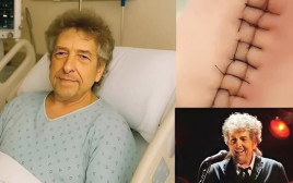 פייק בוב דילן (צילום: צילום מסך)