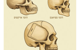 להציץ פעם במאה שנה (צילום: איור: אופיר בגון)