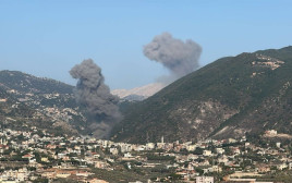 תקיפות בלבנון (צילום: רשתות ערביות)