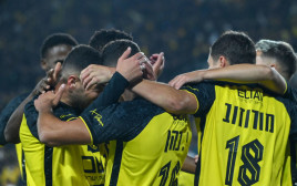 שחקני בית"ר ירושלים חוגגים עם גיל כהן (צילום: ברני ארדוב)