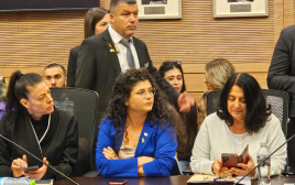 שרן השכל (צילום: דוברות הכנסת)