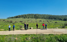 מטיילים וכלניות בעמק השלום רמות מנשה  (צילום: פנינה צייזלר, קק"ל)