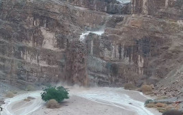 שיטפון בקומראן (צילום: דן פרקש, רשות הטבע והגנים)