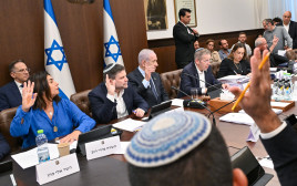 ישיבת הממשלה  (צילום: קובי גדעון/ לע")