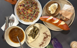 סיידר (צילום: בתיה גלעדי)