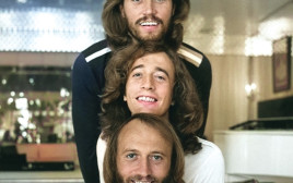 הבי ג'יז  (צילום:  NBC Television)