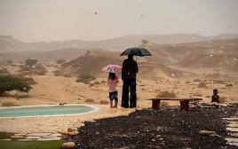 שיטפון בנחל שלהב בערבה התיכונה (צילום: נגה גיבורי)