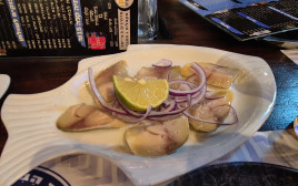 פלמידה  (צילום: ניר קיפניס)