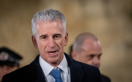 דדי ברנע (צילום: חיים גולדברג/פלאש 90)