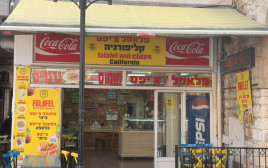 פלאפל קליפורניה (צילום: בתיה גלעדי)