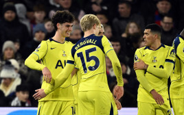 שחקני טוטנהאם חוגגים עם ארצ'י גריי (צילום: רויטרס)