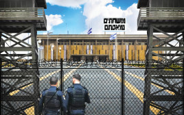 אילוסטרציה של הכנסת מוקפת בגדרות (צילום: איור: אורי אינקס)