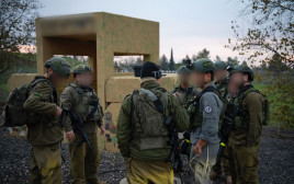 התרגיל ברמת הגולן (צילום: דובר צה"ל)