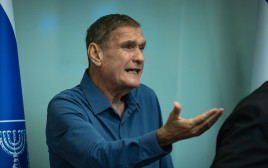 חיים רמון (צילום: יונתן זינדל, פלאש 90)