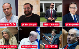 הכוורת של נתניהו (צילום: פלאש 90,לע"מ,רשתות חברתיות)