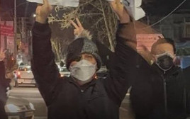 מפגינים באיראן קוראים לעזרת דונלד טראמפ  (צילום: שימוש לפי סעיף 27א')