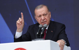 רג'פ טאיפ ארדואן (צילום: רויטרס)