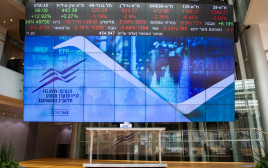 ה (צילום: פלאש 90)