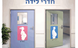 חדרי לידה לנשים ו...לגברים (צילום: איור: אופיר בגון)