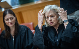 גלי בהרב מיארה (צילום: יונתן זינדל פלאש 90)