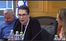 טליק גואילי (צילום: דוברות הכנסת)