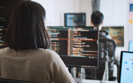 סייבר, אילוסטרציה (צילום: שאטרסטוק)