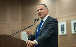 ח"כ יולי אדלשטיין. האם יצטרף למפלגת המילואימניקים (צילום: יונתן זינדל פלאש 90)