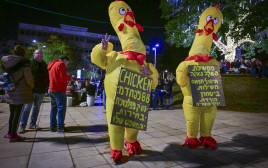 מיצג ממשלת הפאקה פאקה (צילום: אבשלום ששוני)