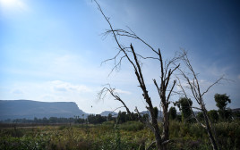 יום חמים (צילום: מיכאל גלעדי פלאש 90)