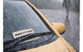 רק בישראל. המדור של מאיר עוזיאל (צילום: מעריב אונליין)