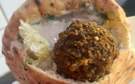 ד"ר סעדיה (צילום: ניר קיפניס)