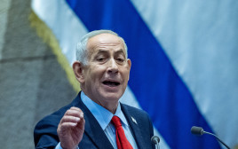 ראש הממשלה בנימין נתניהו נואם בדיון 40 חתימות (צילום: יונתן זינדל, פלאש 90)