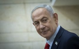 בנימין נתניהו (צילום: חיים גולדברג/פלאש 90)