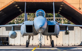 מטוס קרב F-35 בסיס חיל האוויר תל נוף (צילום: דובר צהל)