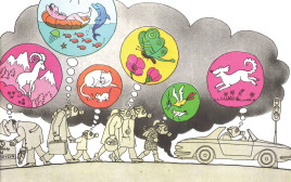 התיבה של ברבאבא (צילום: הוצאת כנזרת זמורה ביתן)