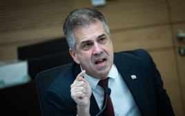 אלי כהן (צילום: יונתן זינדל פלאש 90)