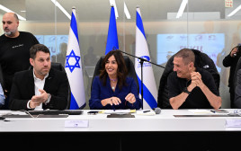 מירי רגב (צילום: אבשלום ששוני)