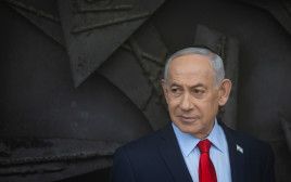 בנימין נתניהו (צילום: חיים גולדברג, פלאש 90)