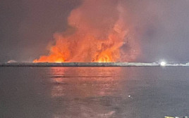 שרפה בנמל בנדר לנגה באיראן (צילום: רשתות חברתיות)