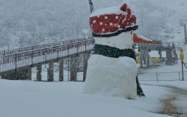 אתר החרמון בשלג  (צילום: אתר החרמון)